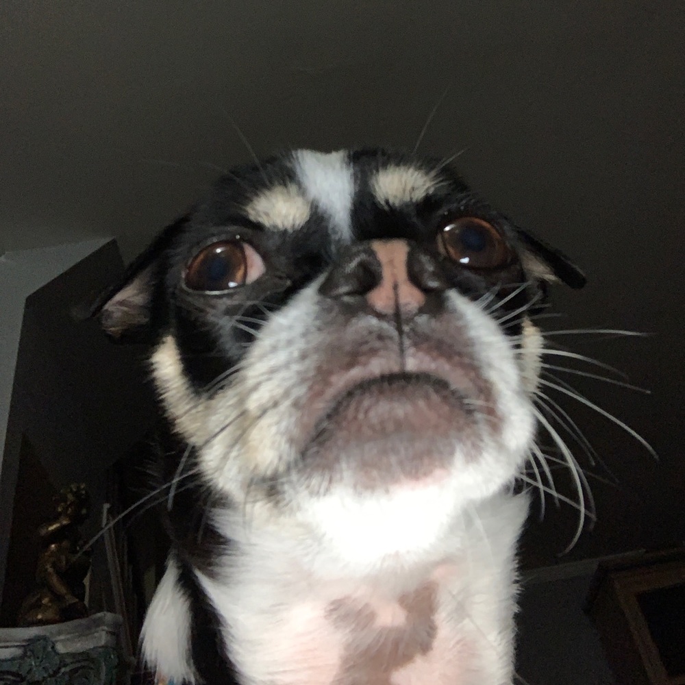 Meet your Posher, John